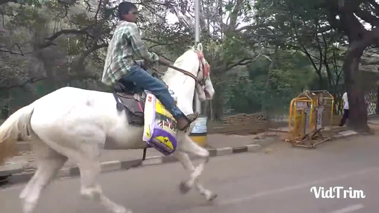 Watch Boy in Bangalore city riding horse