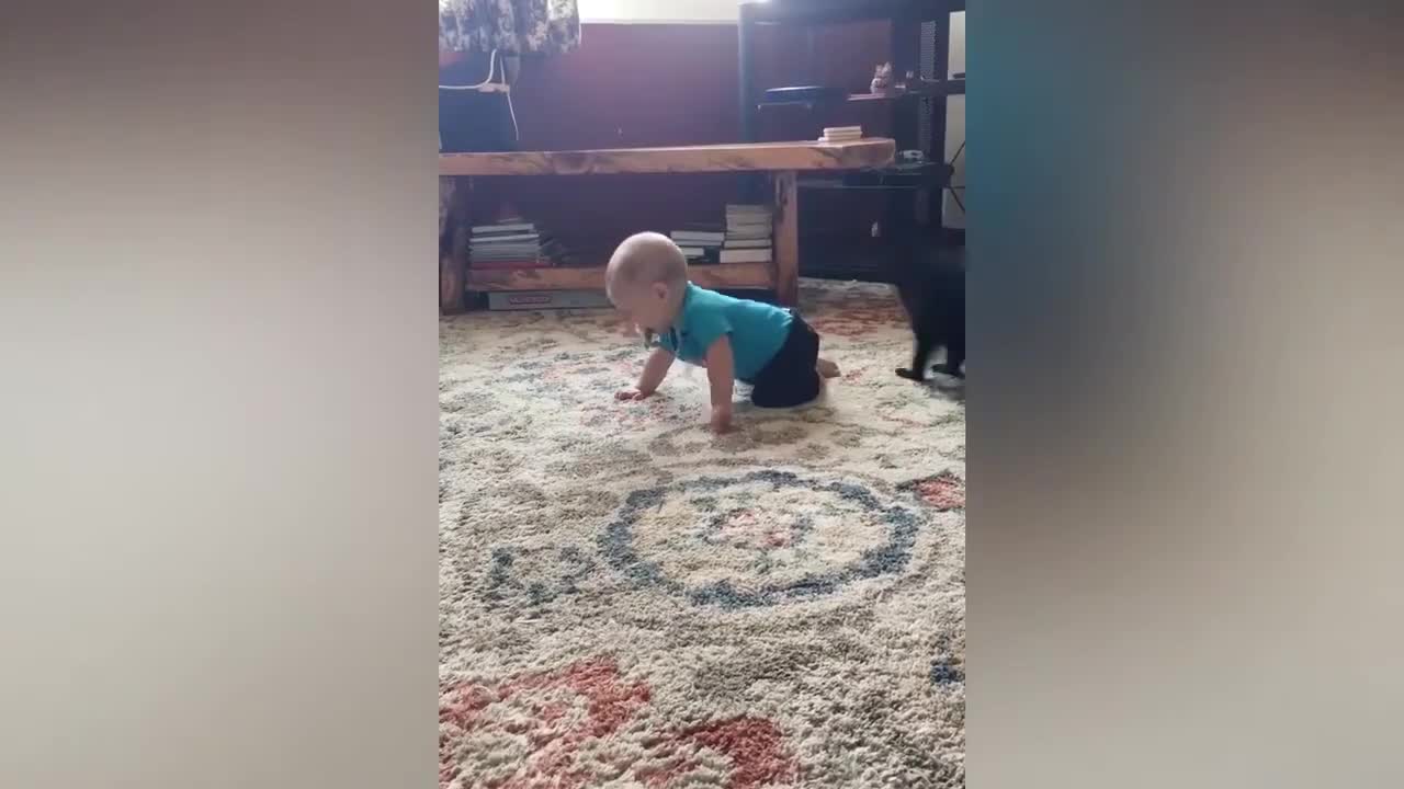 children playing with kittens, beautiful friendship.