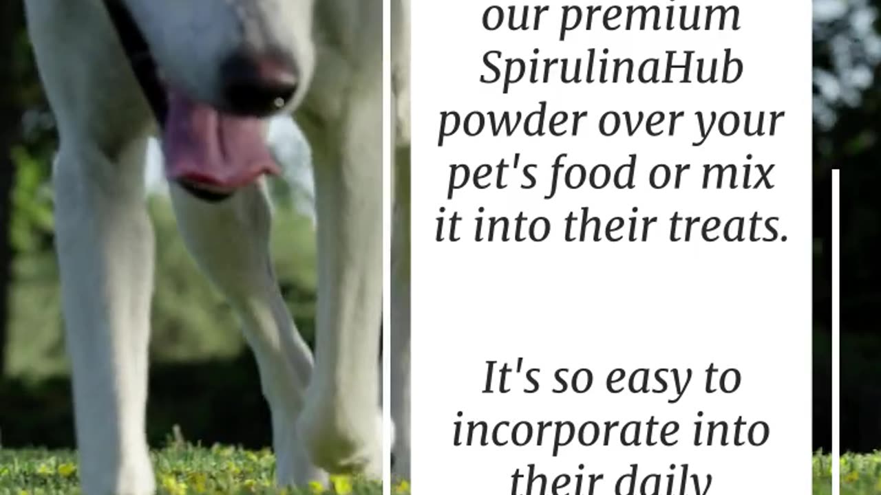 Spirulinahub - For Pets
