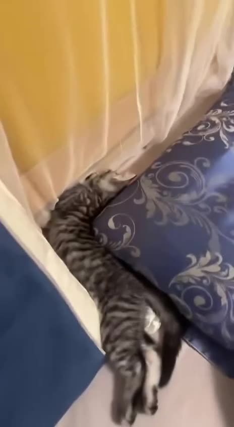 Sleep position to fix lower back pain 🤣