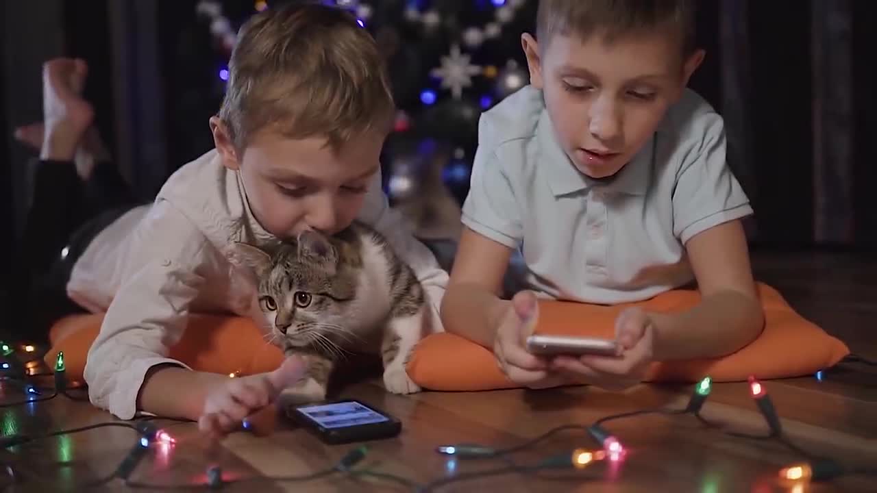 5 BENEFITS of Having a CAT 😻 For Health and Happiness
