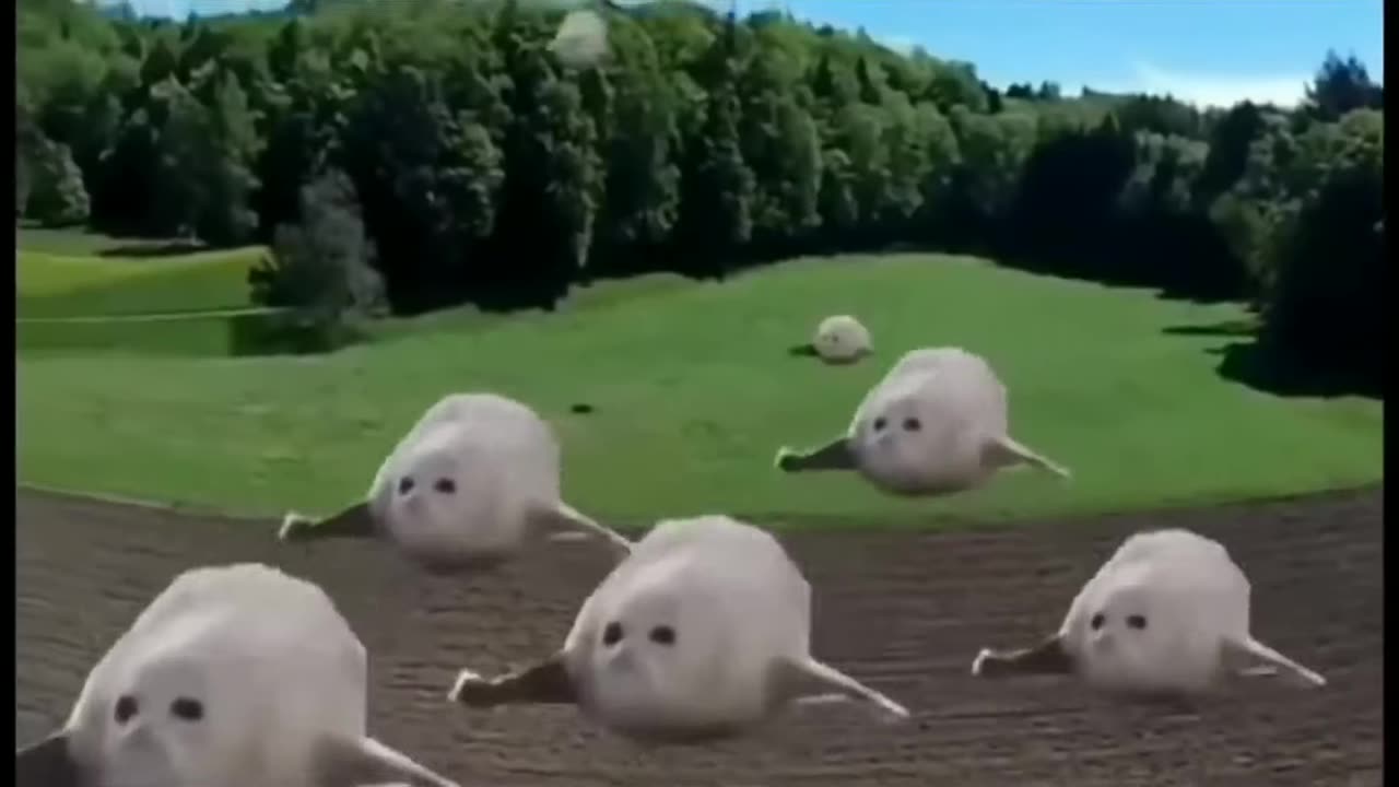 Most popular meme videos for editing