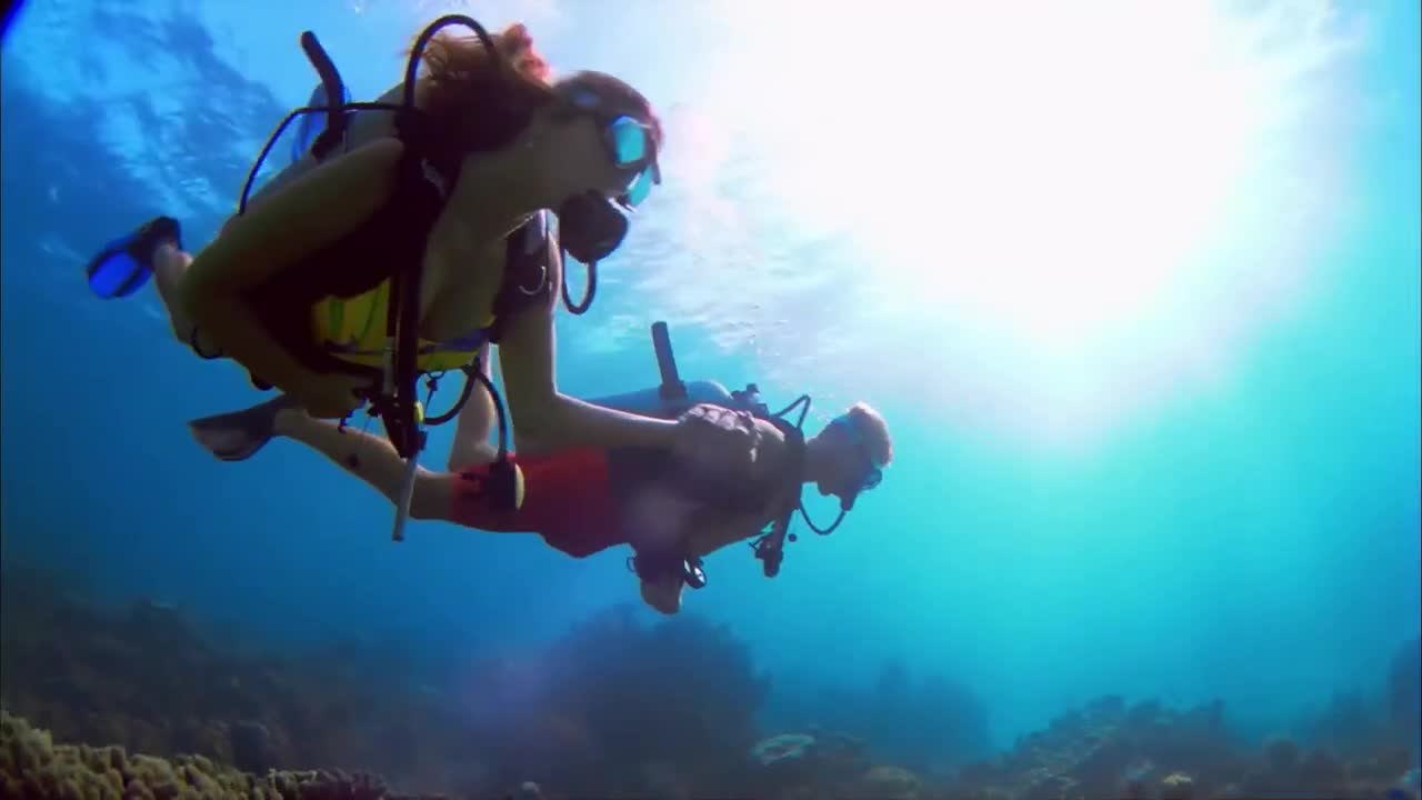 Sea wild view