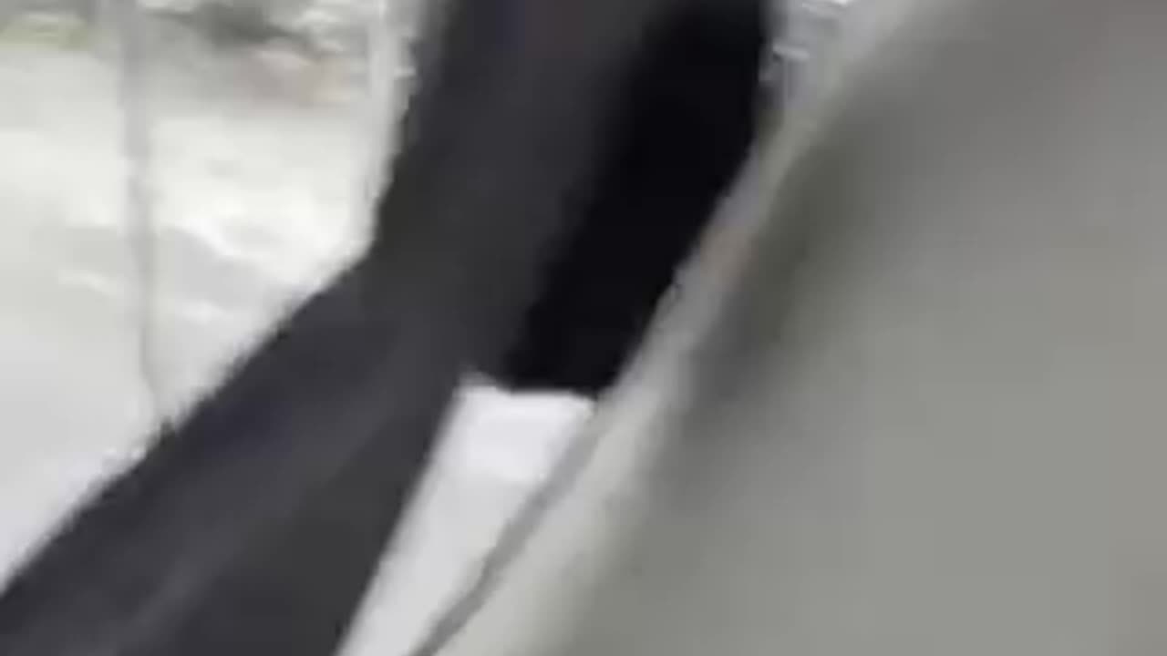 Universal Studios | LA