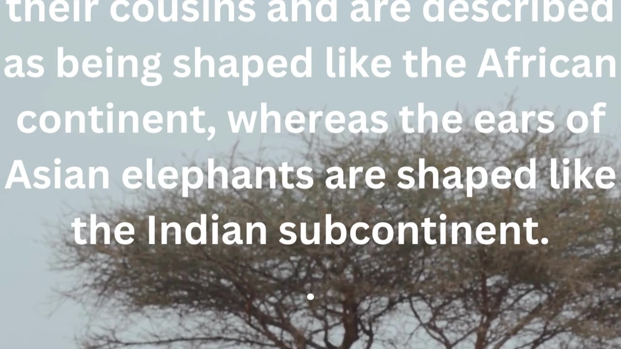 FACTS ABOUT ELEPHANTS.......11\12