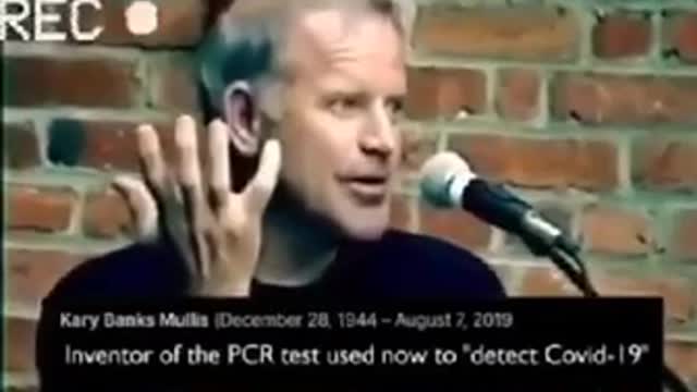 PCR Tests