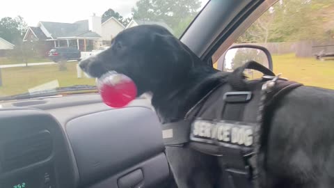 Pup is Pumped for Grandma's House