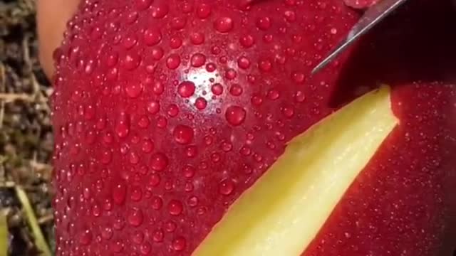 Amazing fruit cut