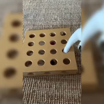 Melvyn The Tabby Gets A Mouse