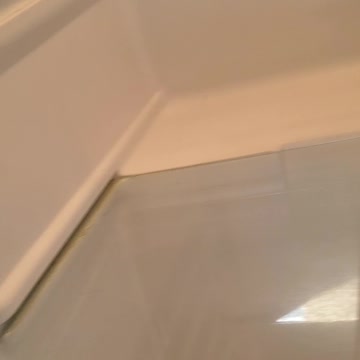 Boss wasp hangs out in refrigerator