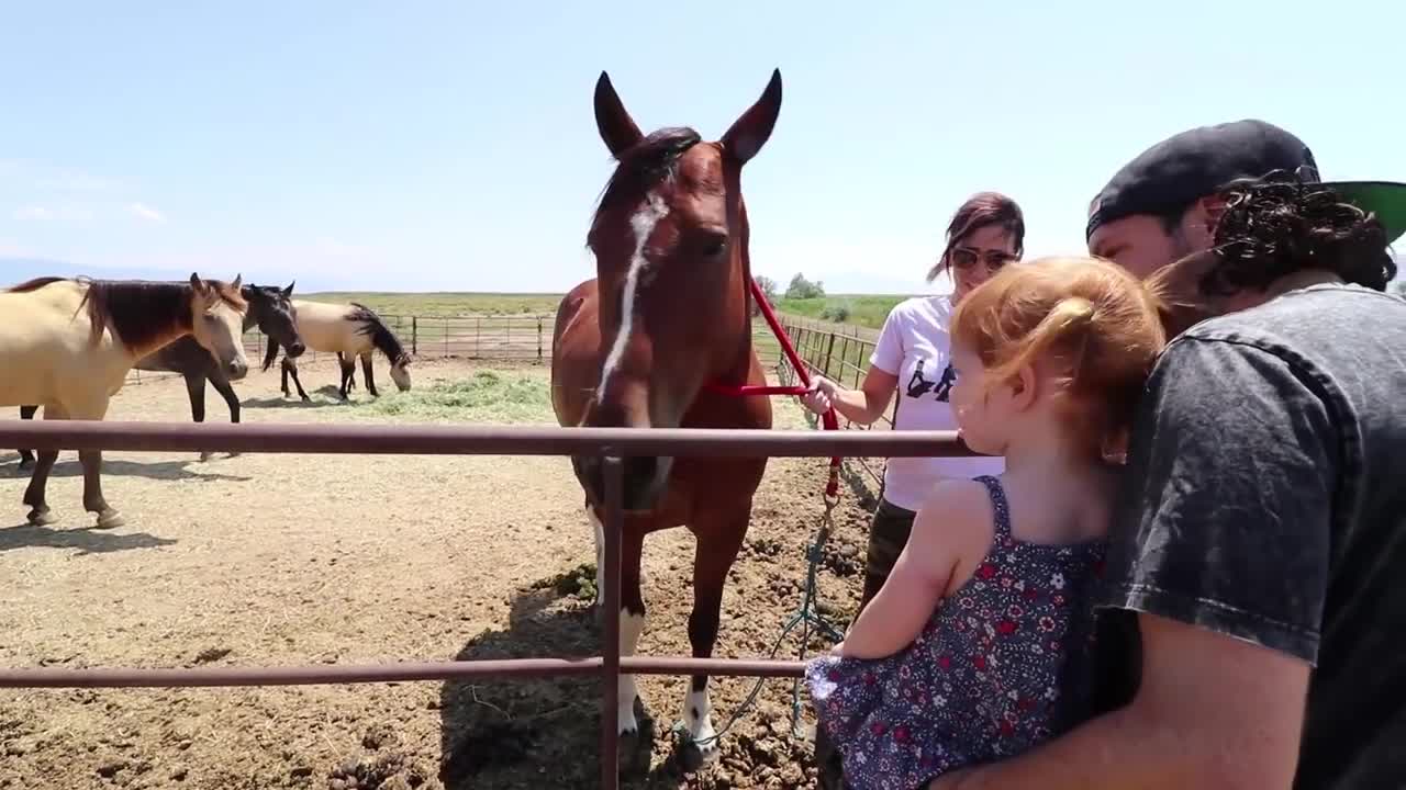 Adley RIDES SPIRIT the Horse!