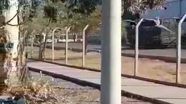 police in argentina