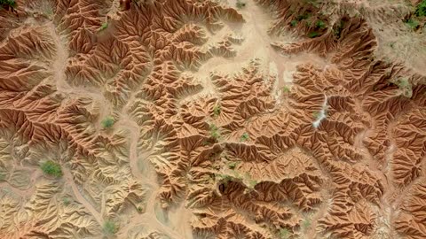 Planet desert