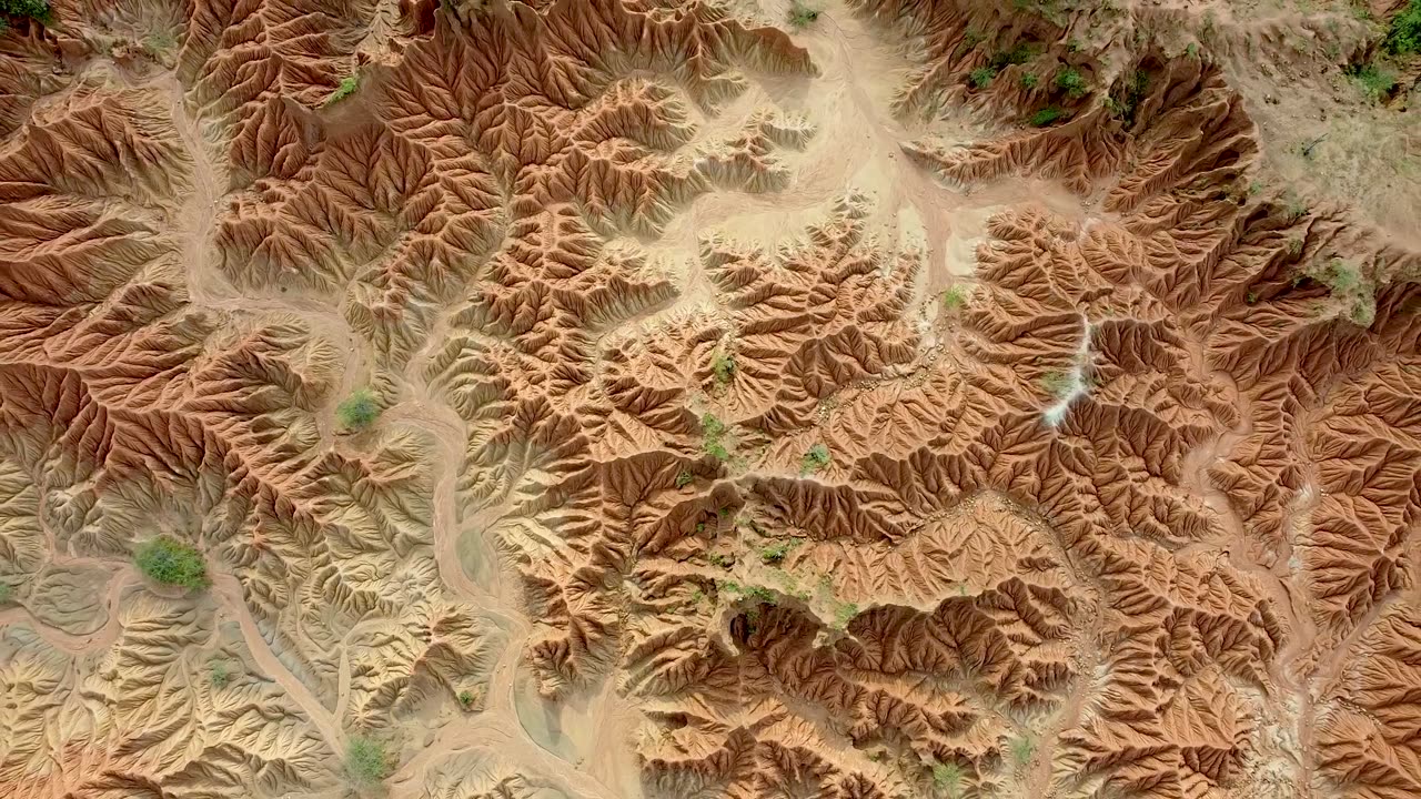 Planet desert