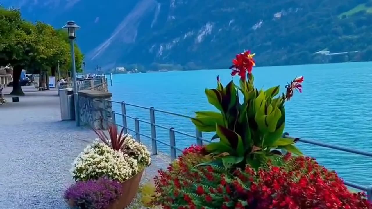 Beautiful Switzerland 🇨🇭🇨🇭 💗 1 Like & Follow please 🙏😊