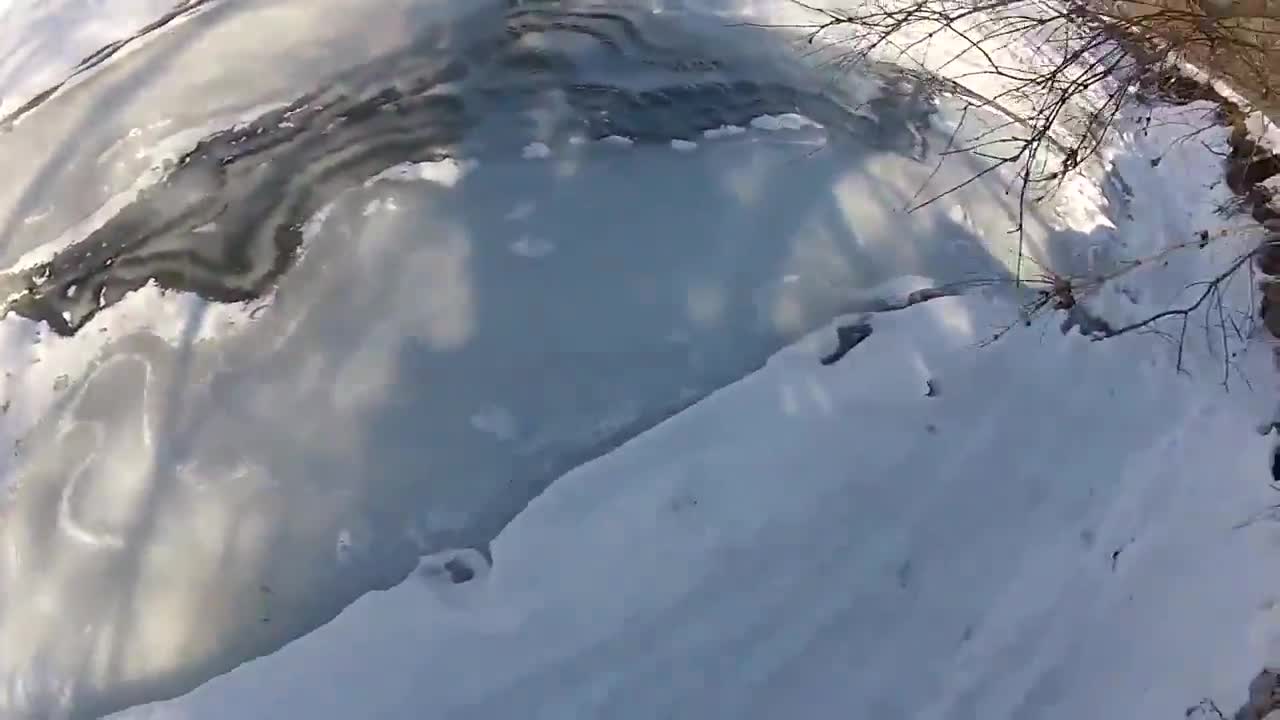 Cross Country Nordic Skiing in Toronto