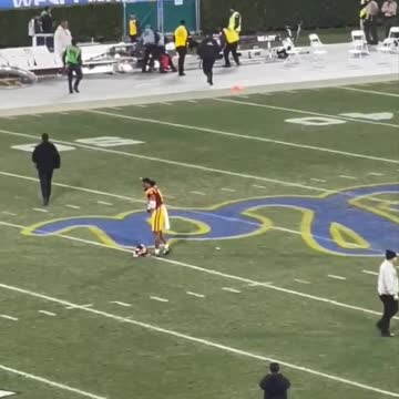 Security Guard Levels Man Who Ran On The Field During College Football Game