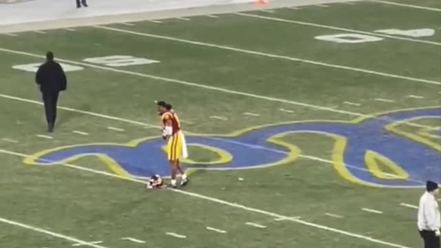 Security Guard Levels Man Who Ran On The Field During College Football Game