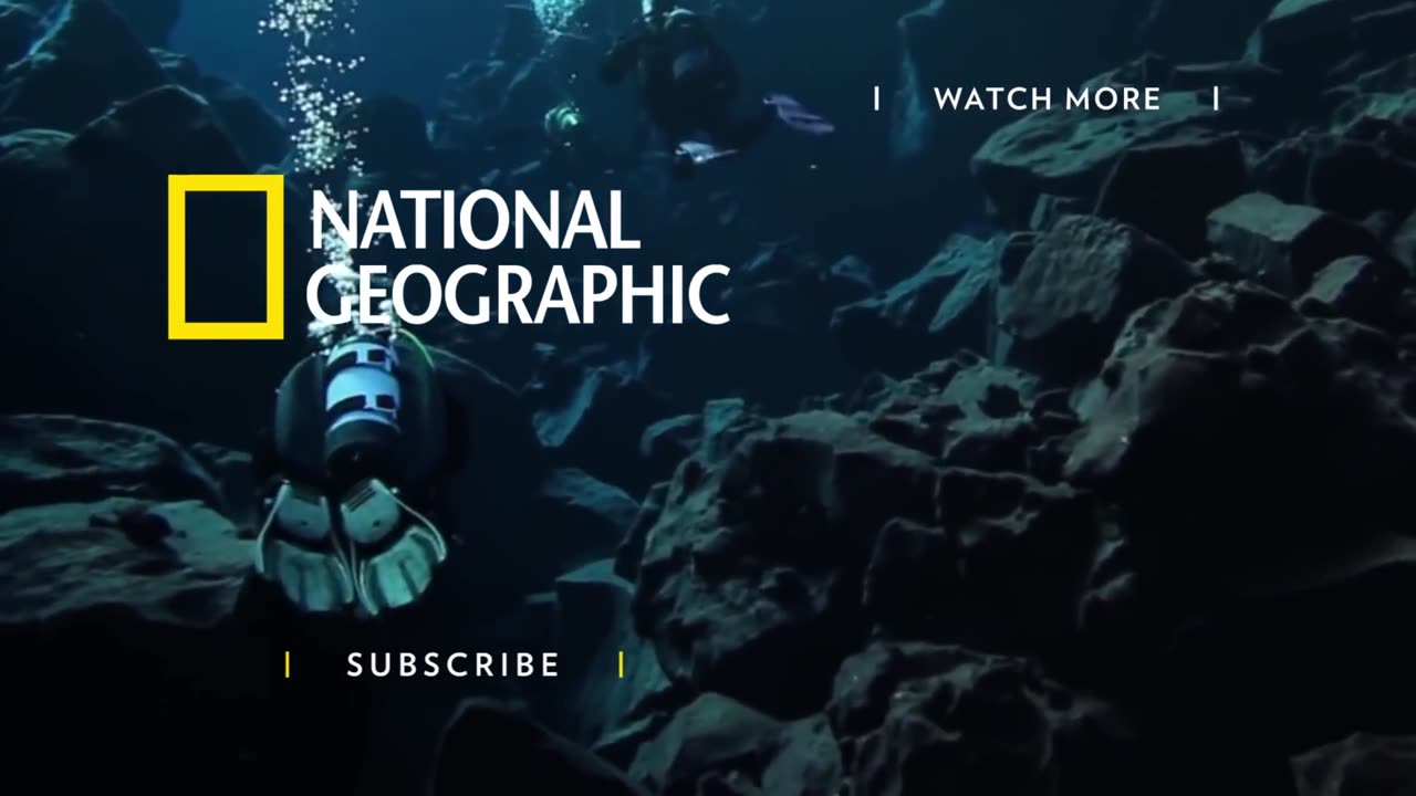 Experience the Underwater World Through the Eyes of a Free Diver | Short Film Showcase