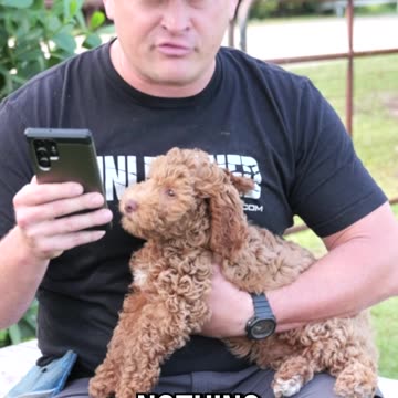 60 Doodles in 60 Seconds