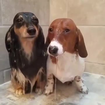 That shower scenes from casinoroyale with Daniel Craig & Eva Green. Minus the tongue action.