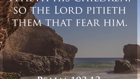 Daily Bible Verse - Psalm 103:13