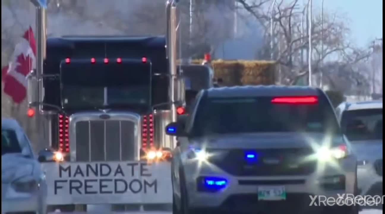 Freedom Convoy 2022 (CW McCall Parody)