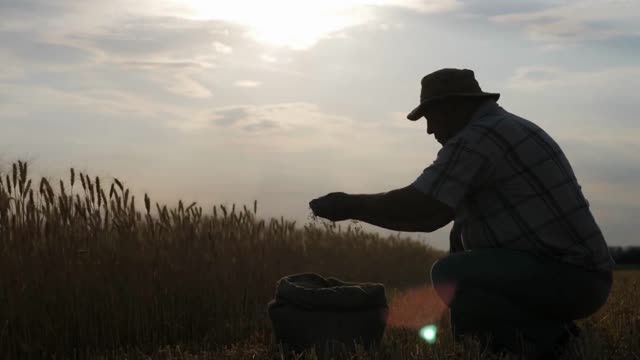 Epic Economist Farm || Food Shortages Will Get A Lot Worse As Fears Of A Dark Winter