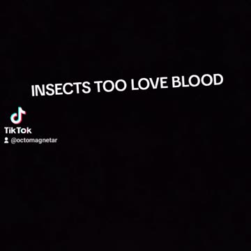 POVERTY IS A SCAM TRY INSECTS DEN