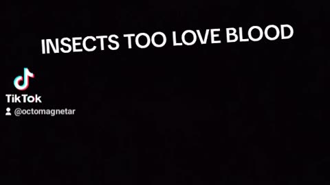 POVERTY IS A SCAM TRY INSECTS DEN