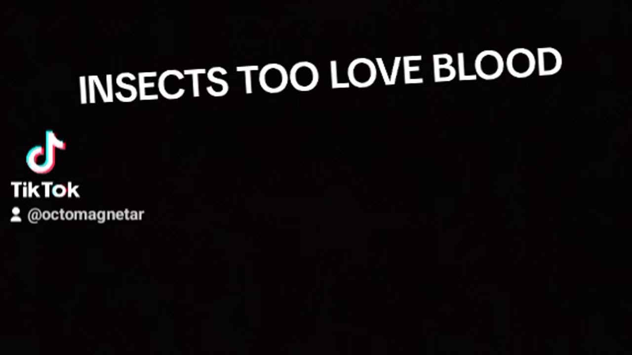 POVERTY IS A SCAM TRY INSECTS DEN