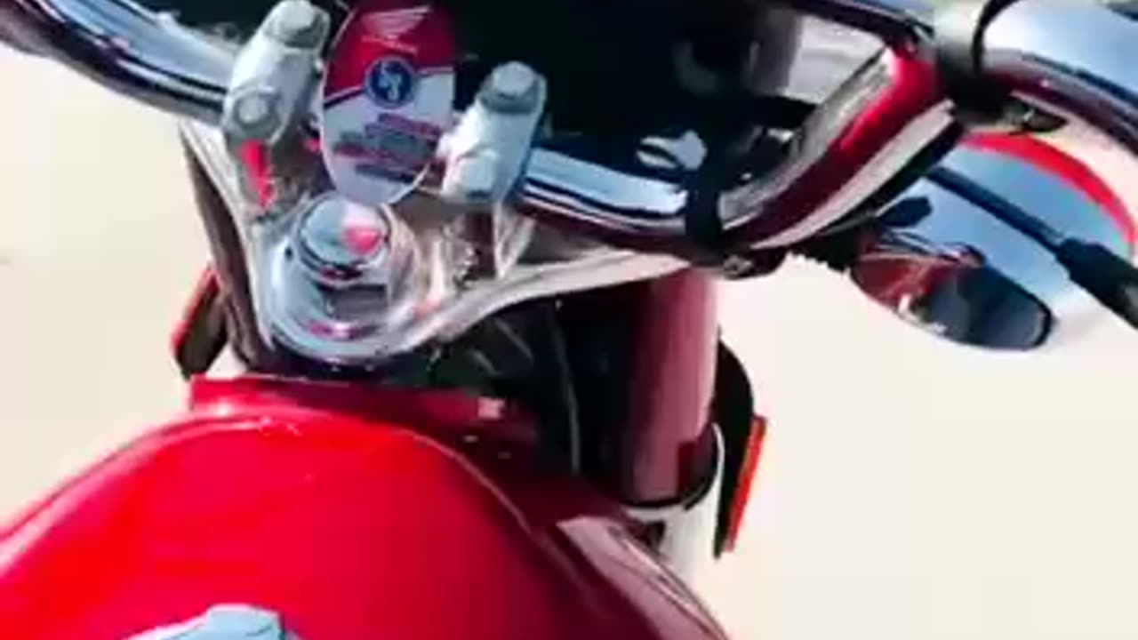 🤍