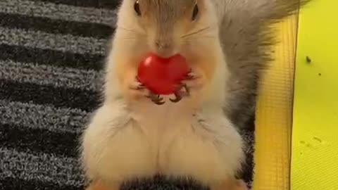 Yummy