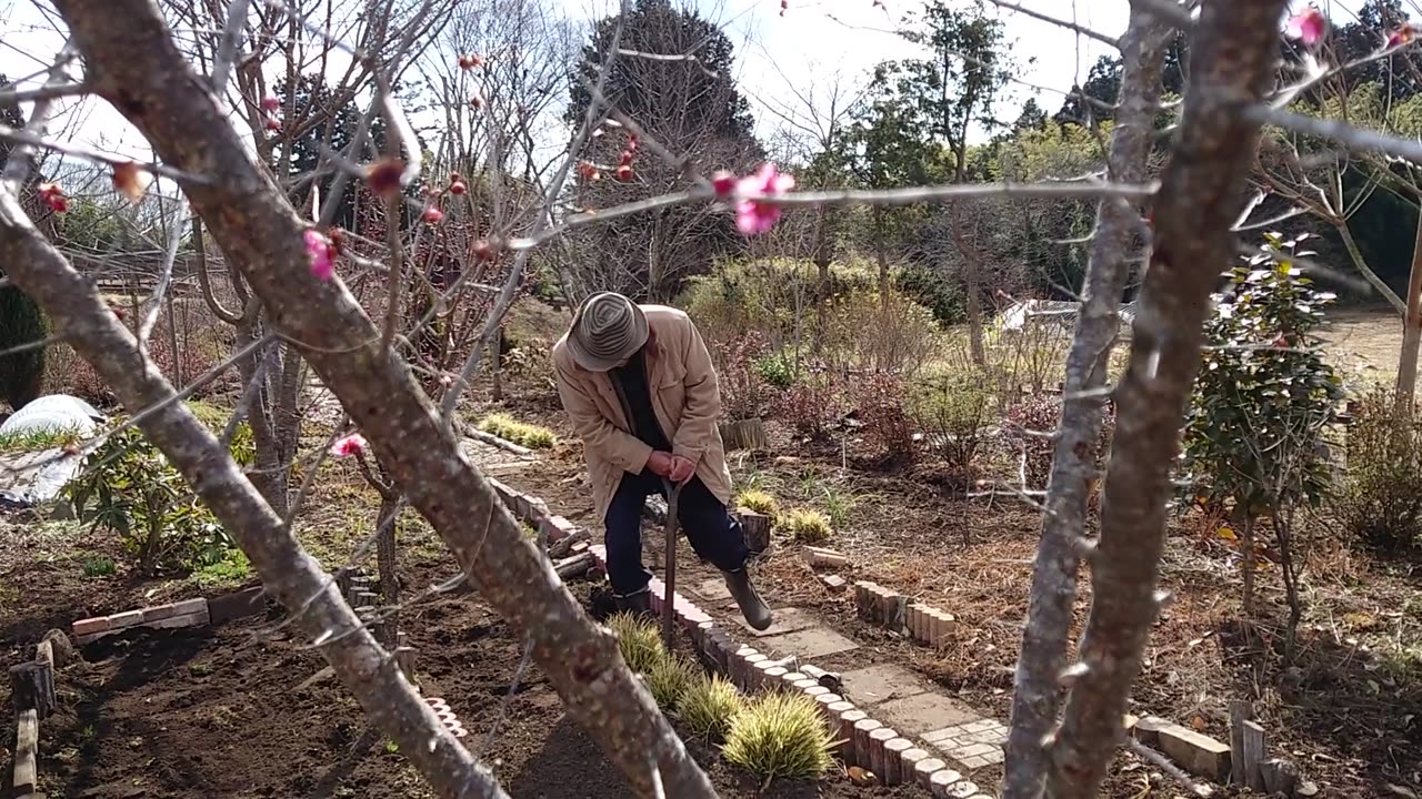 Our flower garden and scenery in Nasu, Japan.