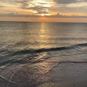 Your Harvest will be multiplied