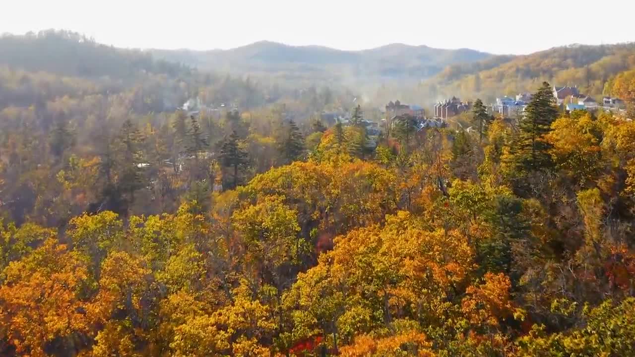 Enchanting Autumn Forests with Beautiful Piano Music