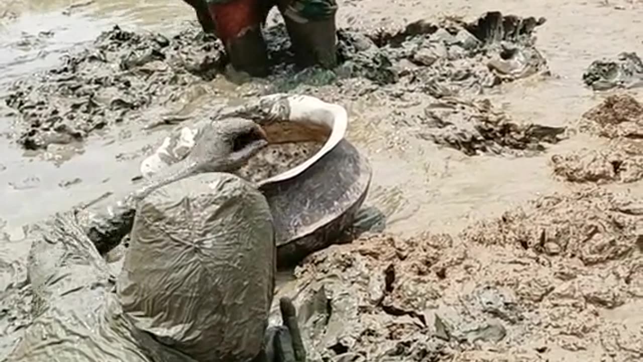 #🇺🇸 #funny #humorous🤣🤣🤣 #bellylaugh #funnyvideos #haihuoctiktok