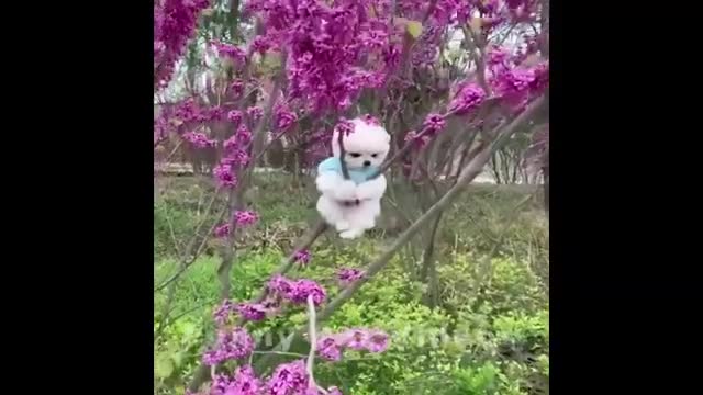 Funny Fails Compilation # 183