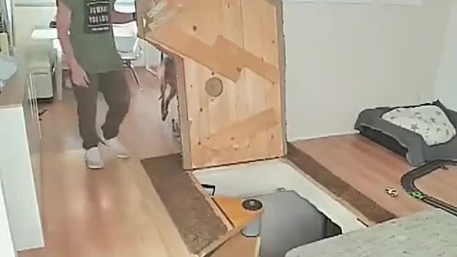 Where did she come from?