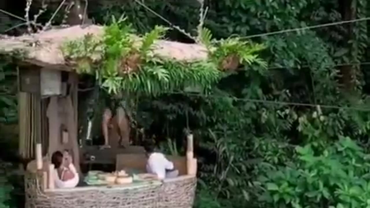 First Jungle Hotel