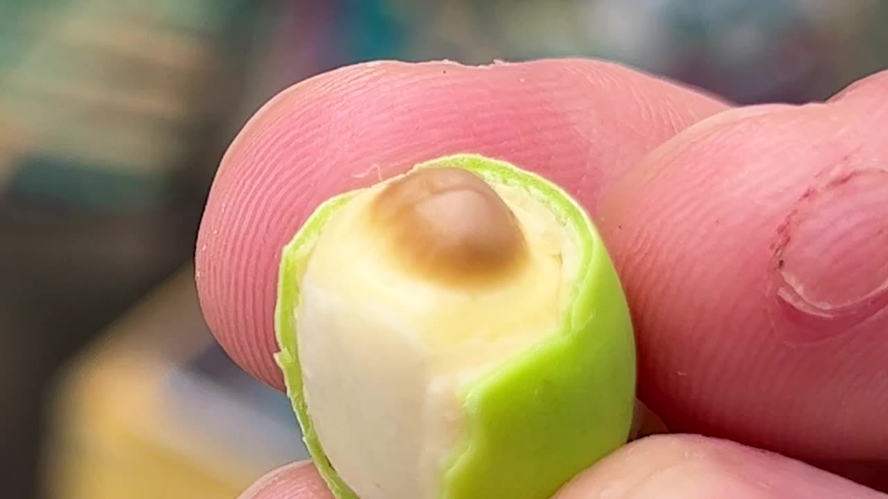 Edible_Lotus_Seed_Peeling_SkillsEdible_Lotus_Seed_Peeling_Skills