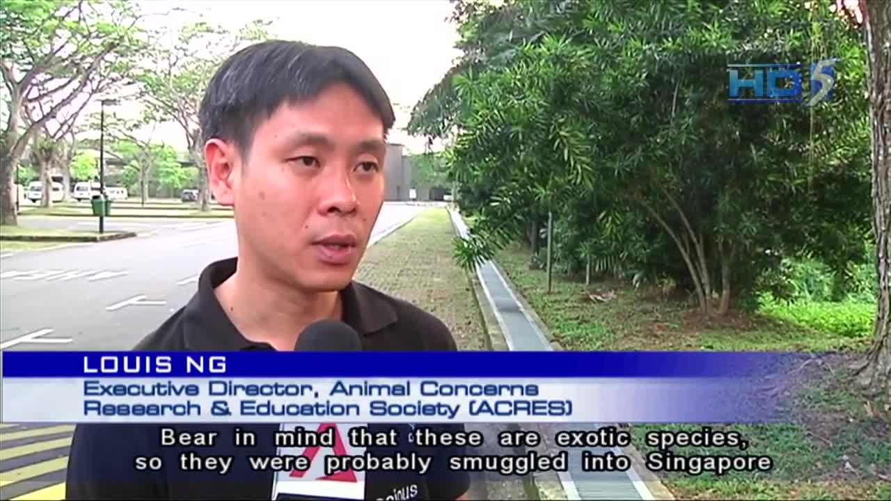 19 caught for having illegal pets in 2012 - 15Jul2013