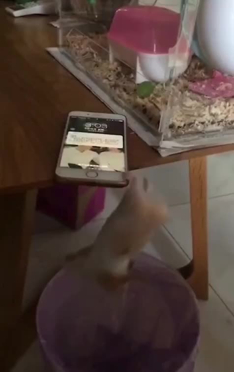 Awesome mission impossible scene