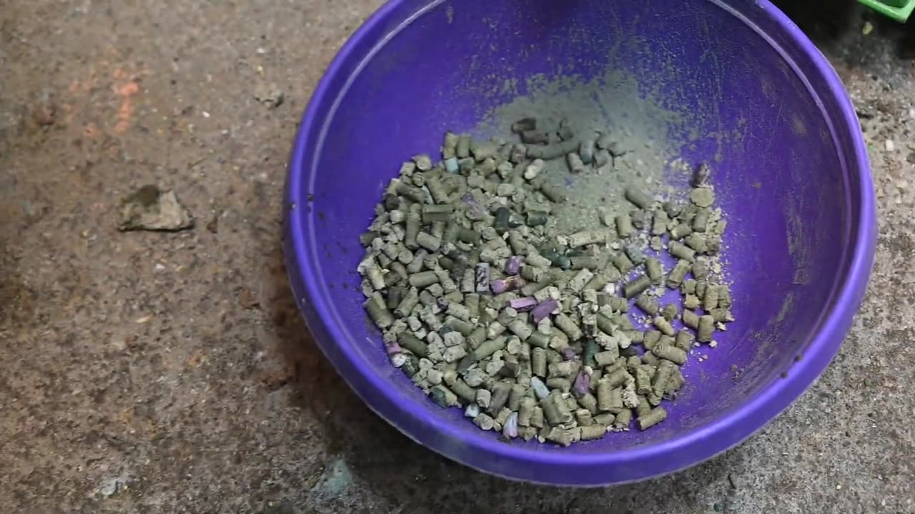 EXPERIMENT MAKING PELLETS FROM COOKIE