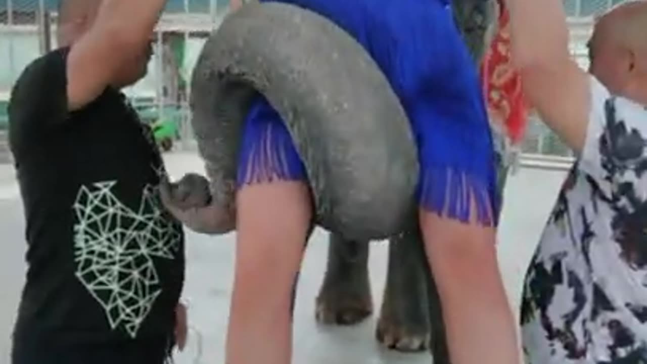 The single girl with the elephant