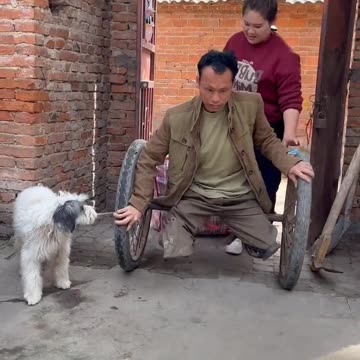 Clip cảm động Người chồng cụt chân