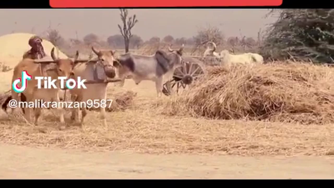 Punjab