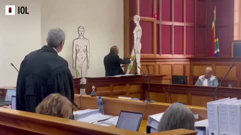 Watch: Dr Steve Naidoo testifying on Day 5 of the Imam Haron Inquest