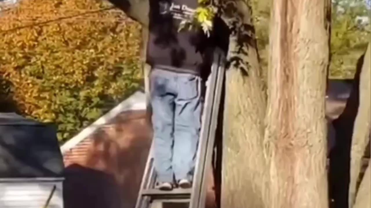 Pain-fail Championships (9/7)