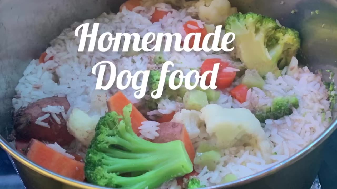 Homemade Dog Food